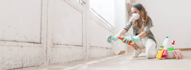 Best Mold Removal for HVAC Installations  in Leavenworth, KS